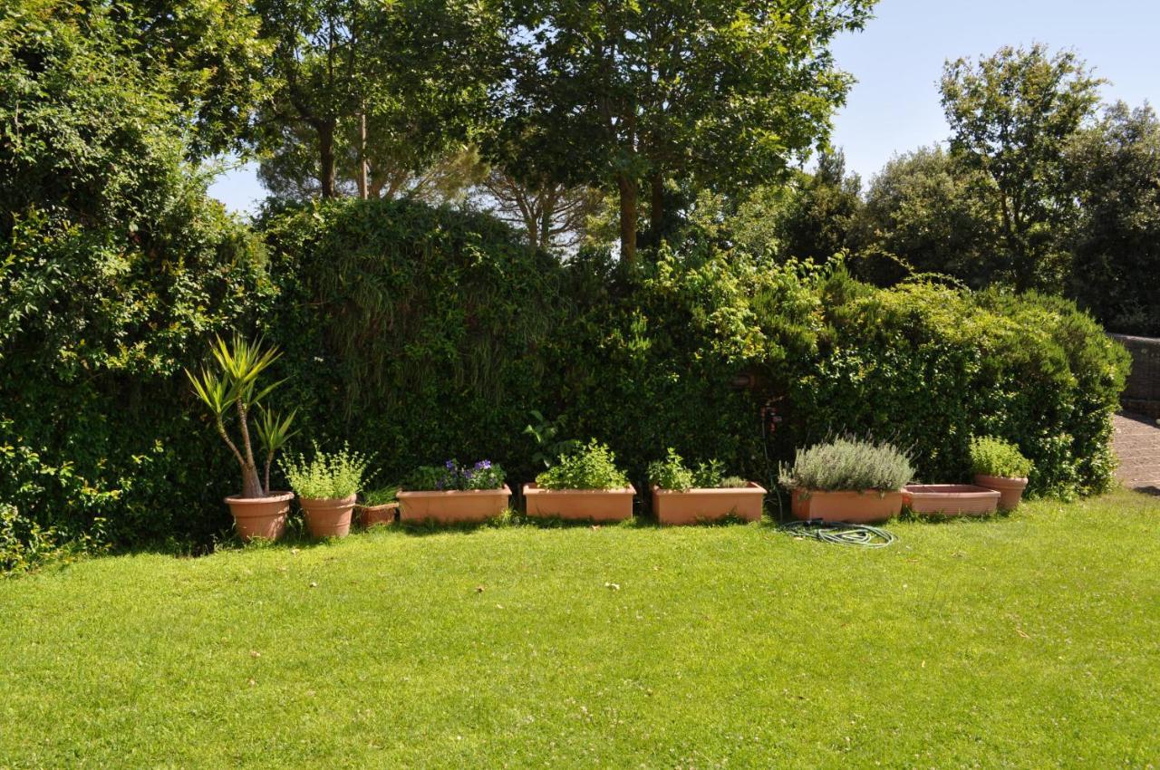Casale Vicino Al Golf Nazionale Bed & Breakfast Monterosi Exterior photo